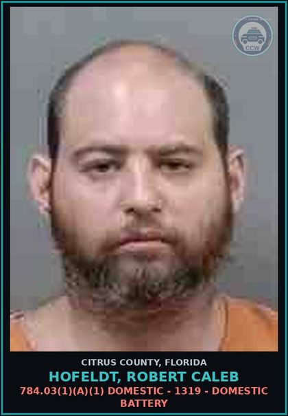 CCW arrest card for Hofeldt, Robert Caleb in Citrus County: 784.03(1)(A)(1) DOMESTIC - 1319 - DOMESTIC BATTERY