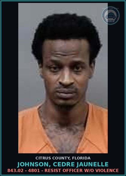 CCW arrest card for JOHNSON, CEDRE JAUNELLE in Citrus County: 843.02 - 4801 - RESIST OFFICER W/O VIOLENCE