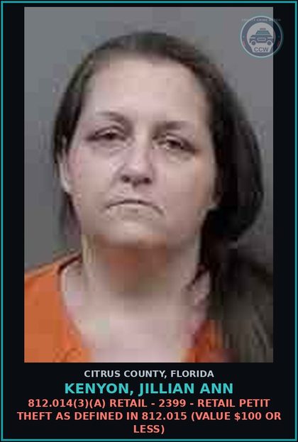 CCW arrest card for KENYON, JILLIAN ANN in Citrus County: 812.014(3)(A) RETAIL - 2399 - RETAIL PETIT THEFT AS DEFINED IN 812.015 (VALUE $100 OR LESS)