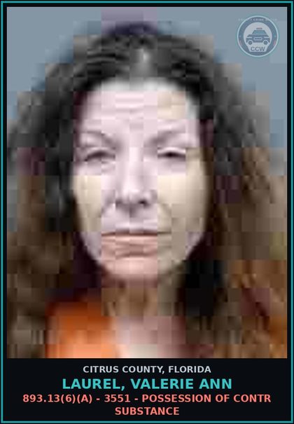 CCW arrest card for LAUREL, VALERIE ANN in Citrus County: 893.13(6)(A) - 3551 - POSSESSION OF contr substance