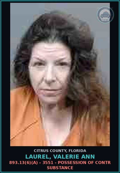 CCW arrest card for LAUREL, VALERIE ANN in Citrus County: 893.13(6)(A) - 3551 - POSSESSION OF contr substance