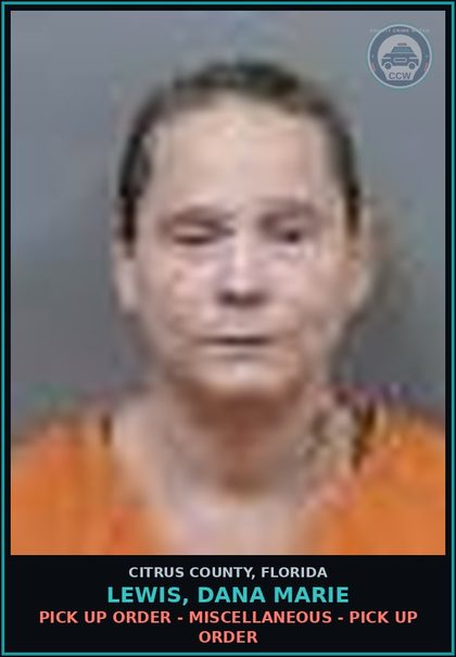CCW arrest card for Lewis, Dana Marie in Citrus County: PICK UP ORDER - MISCELLANEOUS - PICK UP ORDER
