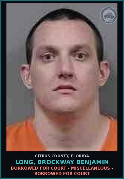 CCW arrest card for LONG, BROCKWAY BENJAMIN in Citrus County: BORROWED FOR COURT - MISCELLANEOUS - BORROWED FOR COURT