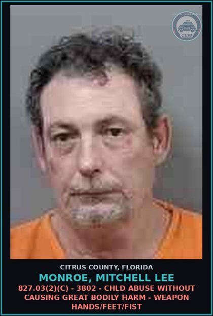 CCW arrest card for MONROE, MITCHELL LEE in Citrus County: 827.03(2)(C) - 3802 - chld ABUSE WITHOUT CAUSING GREAT BODILY HARM - WEAPON HANDS/FEET/FIST
