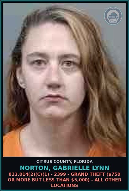 CCW arrest card for NORTON, GABRIELLE LYNN in Citrus County: 812.014(2)(C)(1) - 2399 - GRAND THEFT ($750 OR MORE BUT LESS THAN $5,000) - ALL OTHER LOCATIONS