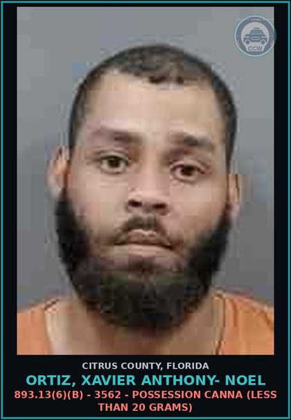CCW arrest card for ORTIZ, XAVIER ANTHONY- NOEL in Citrus County: 918.13 - 5066 - TAMPERING WITH EVIDENCE IN CRIMINAL PROCEEDING