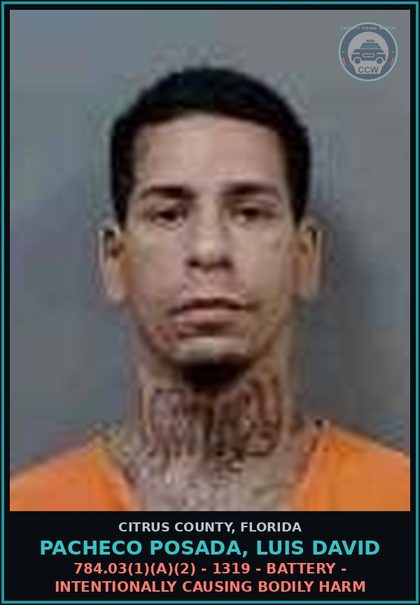 CCW arrest card for PACHECO POSADA, LUIS DAVID in Citrus County: 784.03(1)(A)(2) - 1319 - BATTERY - INTENTIONALLY CAUSING BODILY HARM