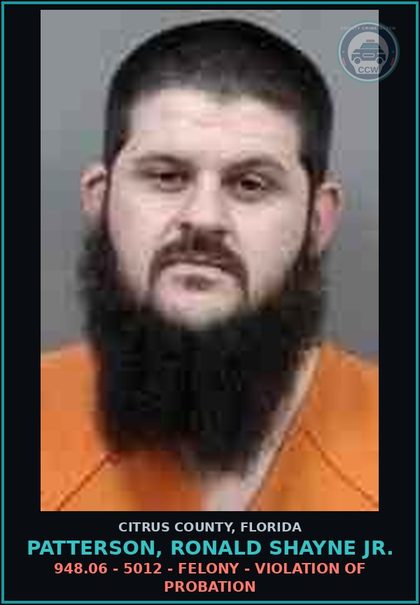 CCW arrest card for PATTERSON, RONALD SHAYNE Jr. in Citrus County: 948.06 - 5012 - FELONY - VIOLATION OF PROBATION