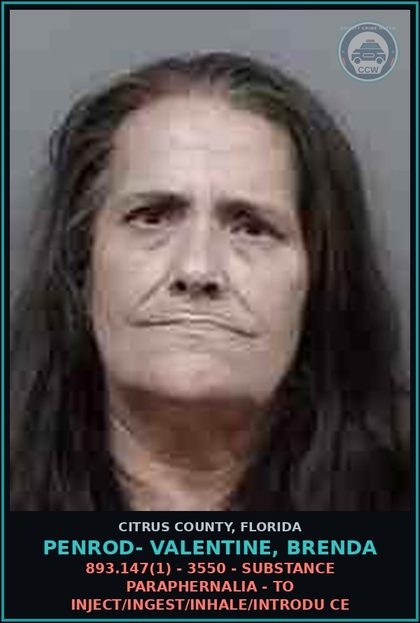 CCW arrest card for PENROD- VALENTINE, BRENDA in Citrus County: 893.147(1) - 3550 - DRUG PARAPHERNALIA - TO INJECT/INGEST/INHALE/INTRODU CE