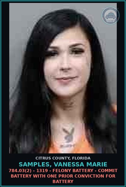 CCW arrest card for Samples, Vanessa Marie in Citrus County: 784.03(2) - 1319 - FELONY BATTERY - COMMIT BATTERY WITH ONE PRIOR CONVICTION FOR BATTERY