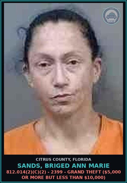 CCW arrest card for SANDS, BRIGED ANN MARIE in Citrus County: 812.014(2)(C)(2) - 2399 - GRAND THEFT ($5,000 OR MORE BUT LESS THAN $10,000)