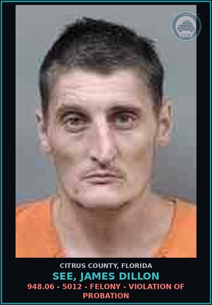 CCW arrest card for SEE, JAMES DILLON in Citrus County: 948.06 - 5012 - FELONY - VIOLATION OF PROBATION