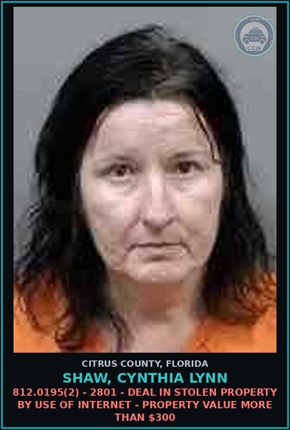 CCW arrest card for SHAW, CYNTHIA LYNN in Citrus County: 812.0195(2) - 2801 - DEAL IN STOLEN PROPERTY BY USE OF INTERNET - PROPERTY VALUE MORE THAN $300