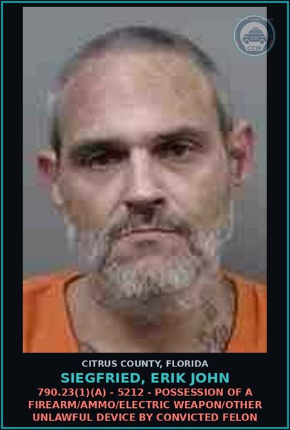 CCW arrest card for Siegfried, Erik John in Citrus County: 893.13(6)(A) - 3551 - POSSESSION OF contr substance