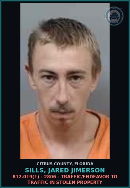 CCW arrest card for Sills, Jared Jimerson in Citrus County: 812.019(1) - 2806 - TRAFFIC/ENDEAVOR TO TRAFFIC IN STOLEN PROPERTY