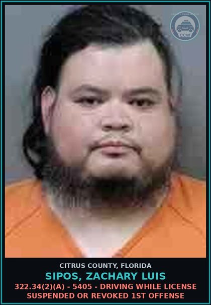 CCW arrest card for SIPOS, ZACHARY LUIS in Citrus County: 322.34(2)(A) - 5405 - DRIVING WHILE LICENSE SUSPENDED OR REVOKED 1ST OFFENSE