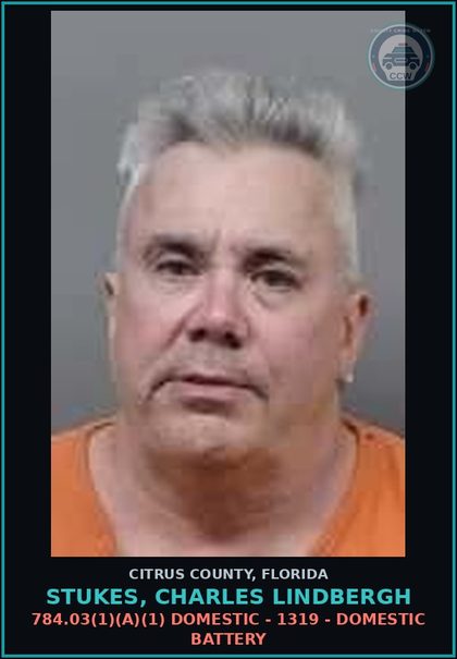 CCW arrest card for STUKES, CHARLES LINDBERGH in Citrus County: 784.03(1)(A)(1) DOMESTIC - 1319 - DOMESTIC BATTERY