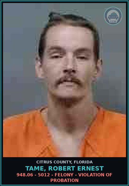 CCW arrest card for TAME, ROBERT ERNEST in Citrus County: 948.06 - 5012 - FELONY - VIOLATION OF PROBATION