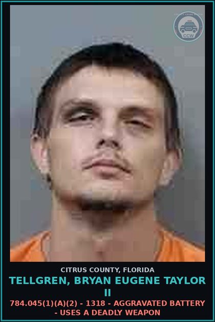 CCW arrest card for TELLGREN, BRYAN EUGENE TAYLOR II in Citrus County: 784.011(1) - 1313 - ASSAULT - INTENT THREAT TO DO VIOLENCE