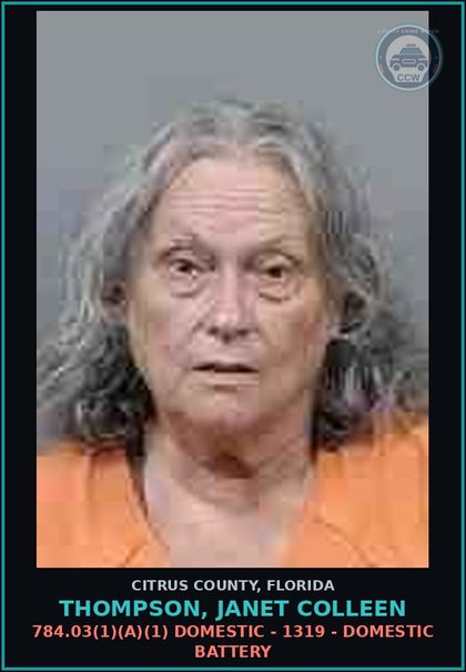 CCW arrest card for Thompson, Janet Colleen in Citrus County: 784.03(1)(A)(1) DOMESTIC - 1319 - DOMESTIC BATTERY