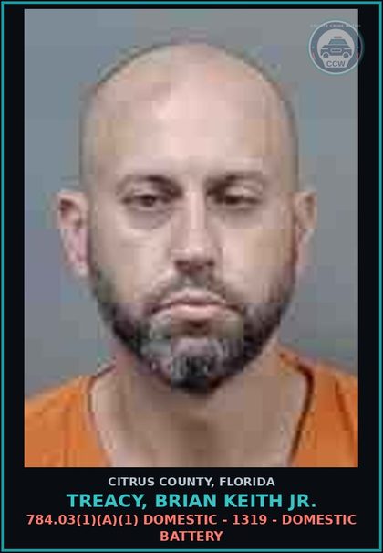 CCW arrest card for TREACY, BRIAN KEITH Jr. in Citrus County: 784.03(1)(A)(1) DOMESTIC - 1319 - DOMESTIC BATTERY
