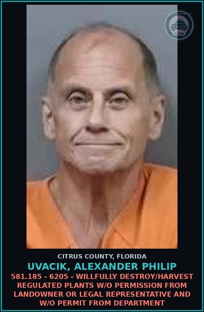 CCW arrest card for UVACIK, ALEXANDER PHILIP in Citrus County: 581.185 - 6205 - WILLFULLY DESTROY/HARVEST REGULATED PLANTS W/O PERMISSION FROM LANDOWNER OR LEGAL REPRESENTATIVE AND W/O PERMIT FROM DEPARTMENT