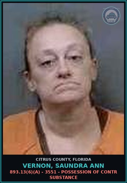 CCW arrest card for VERNON, SAUNDRA ANN in Citrus County: 893.13(6)(A) - 3551 - POSSESSION OF contr substance