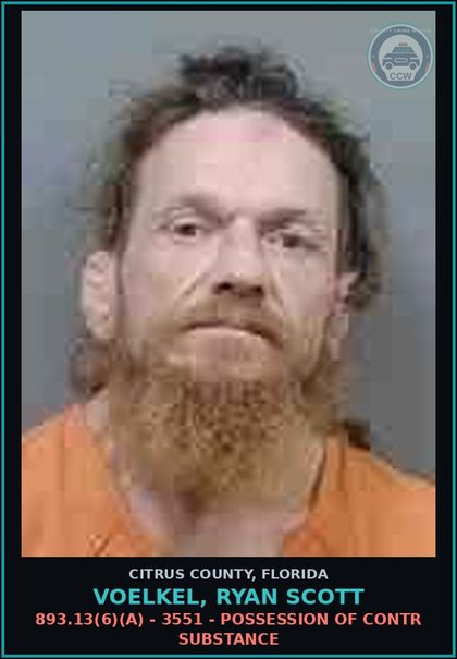 CCW arrest card for VOELKEL, RYAN SCOTT in Citrus County: 893.13(6)(A) - 3551 - POSSESSION OF contr substance
