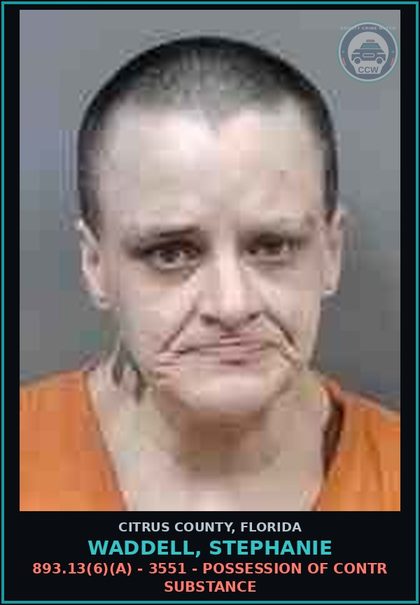 CCW arrest card for Waddell, STEPHANIE in Citrus County: 893.13(6)(A) - 3551 - POSSESSION OF contr substance