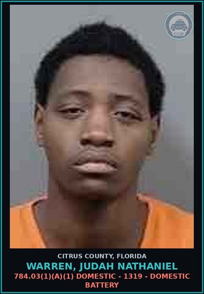 CCW arrest card for WARREN, JUDAH NATHANIEL in Citrus County: 784.03(1)(A)(1) DOMESTIC - 1319 - DOMESTIC BATTERY