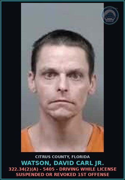 CCW arrest card for Watson, David Carl Jr. in Citrus County: 322.34(2)(A) - 5405 - DRIVING WHILE LICENSE SUSPENDED OR REVOKED 1ST OFFENSE