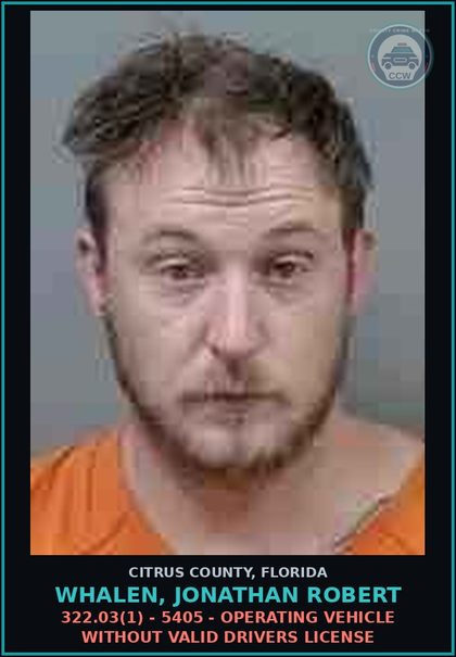 CCW arrest card for WHALEN, JONATHAN ROBERT in Citrus County: 322.03(1) - 5405 - OPERATING VEHICLE WITHOUT VALID DRIVERS LICENSE