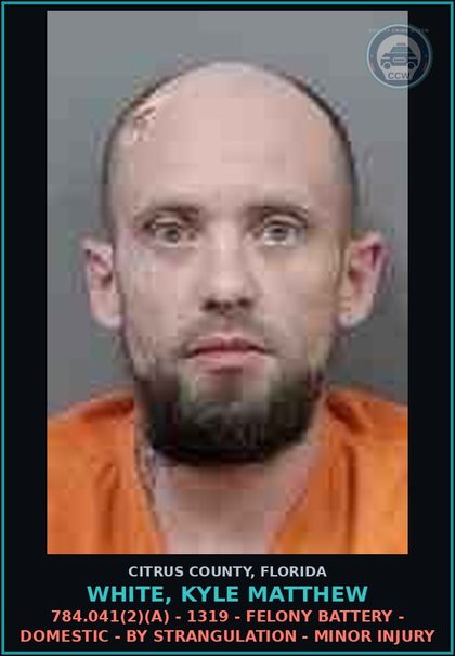 CCW arrest card for White, Kyle Matthew in Citrus County: 784.041(2)(A) - 1319 - FELONY BATTERY - DOMESTIC - BY STRANGULATION - MINOR INJURY