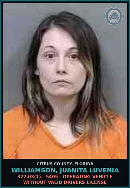 CCW arrest card for WILLIAMSON, JUANITA LUVENIA in Citrus County: 322.03(1) - 5405 - OPERATING VEHICLE WITHOUT VALID DRIVERS LICENSE