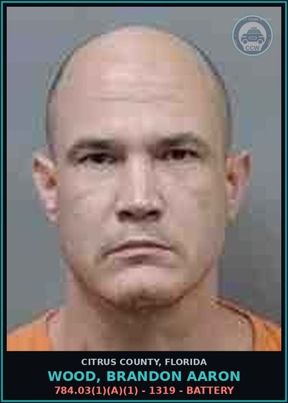 CCW arrest card for WOOD, BRANDON AARON in Citrus County: 784.03(1)(A)(1) - 1319 - BATTERY