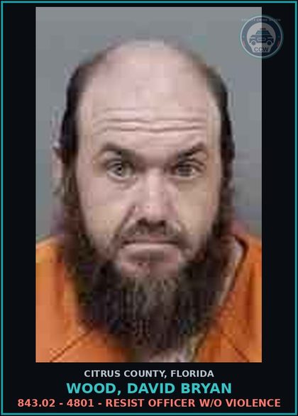 CCW arrest card for Wood, David Bryan in Citrus County: 843.02 - 4801 - RESIST OFFICER W/O VIOLENCE