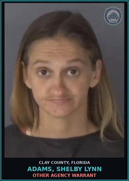 CCW arrest card for ADAMS, SHELBY LYNN in Clay County: OTHER AGENCY WARRANT