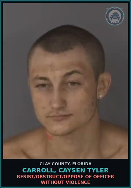 CCW arrest card for CARROLL, CAYSEN TYLER in Clay County: RESIST/OBSTRUCT/OPPOSE OF OFFICER WITHOUT VIOLENCE