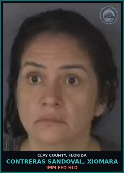CCW arrest card for CONTRERAS SANDOVAL, XIOMARA in Clay County: IMM FED HLD