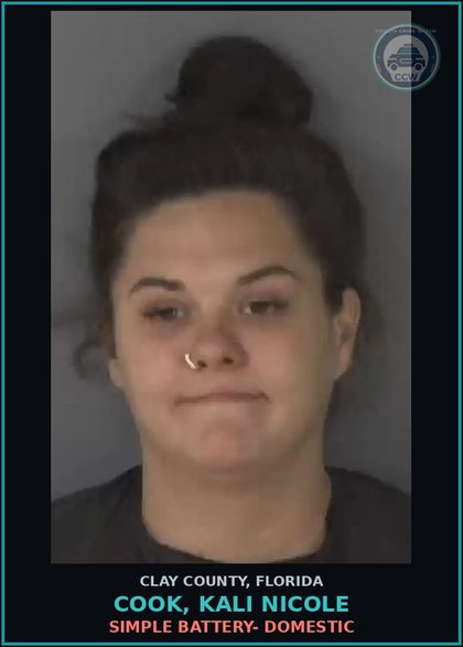 CCW arrest card for COOK, KALI NICOLE in Clay County: SIMPLE BATTERY- DOMESTIC