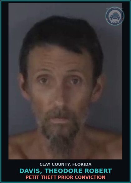 CCW arrest card for DAVIS, THEODORE ROBERT in Clay County: PETIT THEFT PRIOR CONVICTION