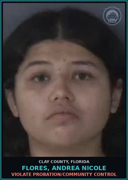 CCW arrest card for FLORES, ANDREA NICOLE in Clay County: VIOLATE PROBATION/COMMUNITY CONTROL
