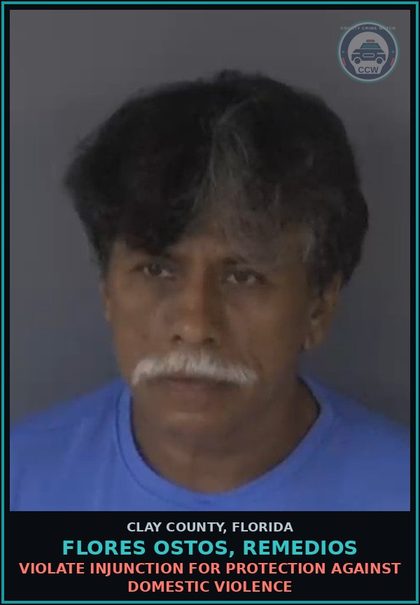 CCW arrest card for FLORES OSTOS, REMEDIOS in Clay County: VIOLATE INJUNCTION FOR PROTECTION AGAINST DOMESTIC VIOLENCE
