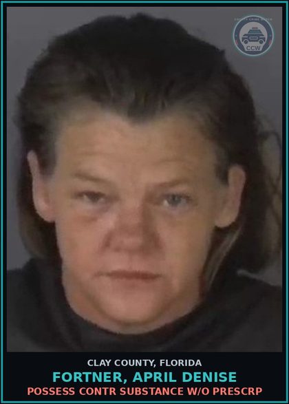 CCW arrest card for FORTNER, APRIL DENISE in Clay County: POSSESS contr substance W/O PRESCRIPTION