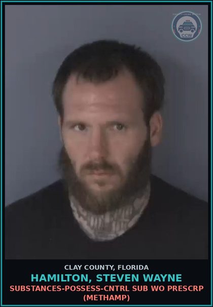 CCW arrest card for HAMILTON, STEVEN WAYNE in Clay County: DRUGS-POSSESS-CNTRL SUB WO PRESCRIPTION (METH)