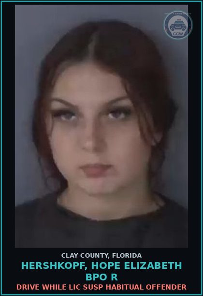 CCW arrest card for HERSHKOPF, HOPE ELIZABETH BPO R in Clay County: DRIVE WHILE LIC SUSP HABITUAL OFFENDER