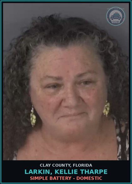 CCW arrest card for LARKIN, KELLIE THARPE in Clay County: SIMPLE BATTERY - DOMESTIC