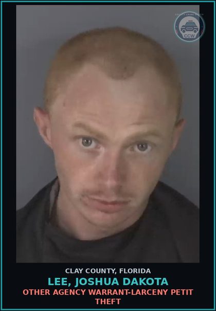 CCW arrest card for LEE, JOSHUA DAKOTA in Clay County: OTHER AGENCY WARRANT-LARCENY PETIT THEFT