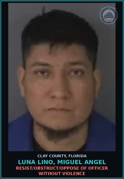 CCW arrest card for LUNA LINO, MIGUEL ANGEL in Clay County: RESIST/OBSTRUCT/OPPOSE OF OFFICER WITHOUT VIOLENCE
