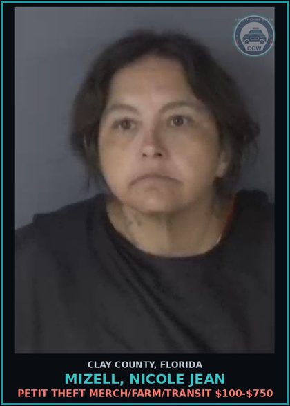 CCW arrest card for MIZELL, NICOLE JEAN in Clay County: PETIT THEFT MERCH/FARM/TRANSIT $100-$750